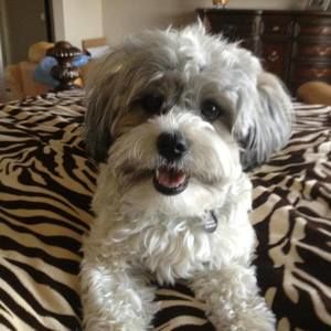 Meet your Posher, Pamela